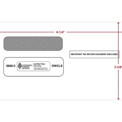 ComplyRight Self Seal Security Tinted Double-Window Tax Envelopes, 5 5/8" x 9.25", 25/Pack (6666225)* Security Tinted