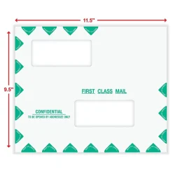 ComplyRight Self-Seal Tax Envelope, 9.5" x 11.5", White/Green, 50/Pack (PEV22)* Business