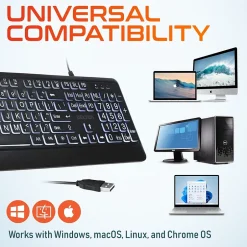 Delton KB20 Large Button/Key Keyboard with Backlight, Black (DBKBG20)* Ergonomic Keyboards