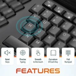 Delton KB200 Wireless Ergonomic Keyboard, Black (DKBERG24G8-WB)* Ergonomic Keyboards