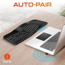 Delton KB200 Wireless Ergonomic Keyboard, Black (DKBERG24G8-WB)* Ergonomic Keyboards