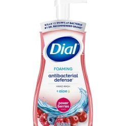 Dial Antibacterial Foaming Hand Soap, Power Berries Scent, 8/Carton (017000347271)