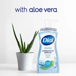 Dial Antibacterial Foaming Hand Soap, Spring Water Scent, 8/Carton (017000347394)
