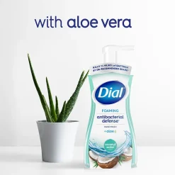 Dial Antibacterial Foaming Hand Soap, Coconut Water Scent, 8/Carton (017000347158)