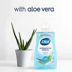 Dial Complete Antibacterial Liquid Hand Soap, Spring Water Scent (00017000209524)
