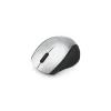 Digital Innovations EasyGlide Ambidextrous Wireless Optical 2.4 GHz Mouse, Black/Silver (GB1747)* Mice