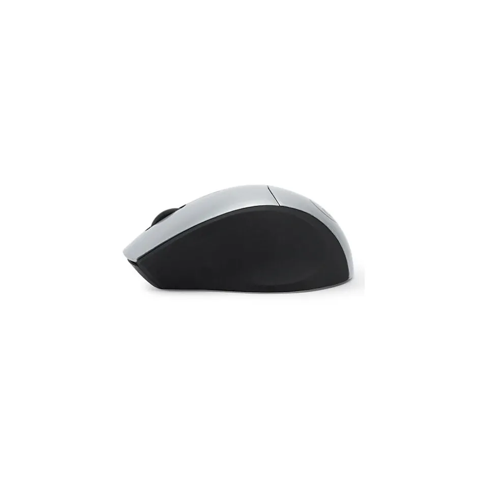 Digital Innovations EasyGlide Ambidextrous Wireless Optical 2.4 GHz Mouse, Black/Silver (GB1747)* Mice