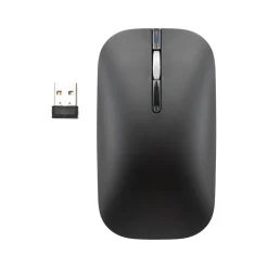 Digital Innovations LoPro Wireless Abidextrous Optical 2.4 GHz Mouse, Black (32312)* Mice
