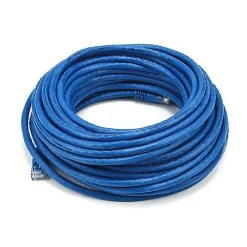 Ethernet Cables<Digiwave EM746100 100 ft. Cat5e Network Cable, Blue