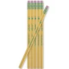Dixon Ticonderoga Wooden Pencil, 0.5mm, #2 Soft Lead, 4 Dozen (52039-PK48) Clearance