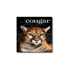 New Cougar Digital 10% Recycled 8.5" x 11" Paper, 80 lbs., 98 Brightness, 250/Ream, 8 Reams/Carton (2986) Card Stock