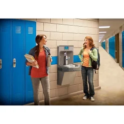 Drinking Fountains<Elkay Enhanced EZH2O Bottle Filling Station, & Versatile Bi-Level ADA Cooler, Filtered 8 GPH Stainless (LZSTL8WSSP)
