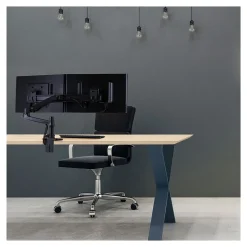 Ergotron LX Adjustable Dual Direct Arm Mounting Arm, 25