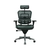 Hot Ergohuman Mesh Back Leather Task Chair, Black (LEM4ERG -LBK(N)) Office Chairs