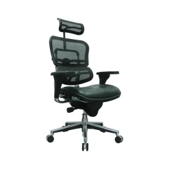 Hot Ergohuman Mesh Back Leather Task Chair, Black (LEM4ERG -LBK(N)) Office Chairs
