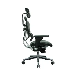 Hot Ergohuman Mesh Back Leather Task Chair, Black (LEM4ERG -LBK(N)) Office Chairs