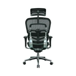 Hot Ergohuman Mesh Back Leather Task Chair, Black (LEM4ERG -LBK(N)) Office Chairs