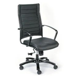 Sale High Back Titanium Frame Leather Executive Chair: Black Office Chairs