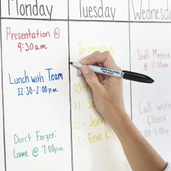 Expo Vis-A-Vis Wet Erase Markers, Fine Point, Black, Dozen (16001) Clearance