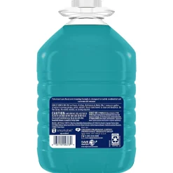 Fabuloso Professional All Purpose Cleaner & Degreaser, Ocean Scent, 1 Gal., 4/Carton (US05252A)