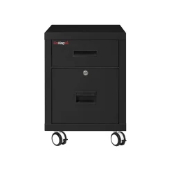 Outlet 2-Drawer Mobile Vertical File Cabinet, Letter/Legal Size, Lockable, Fire Resistant, Black (2M1822-1BL) File Cabinets