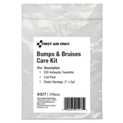 First Aid Kits<First Aid Only Bumps and Bruises Care Kit,3 Pieces, 25 Packs/Carton (91577)