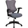 Online Kale Ergonomic Mesh Swivel High Back Executive Office Chair, Gray (BLZP806GY) Office Chairs