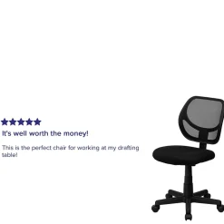 New Neri Armless Ergonomic Mesh Swivel Low Back Task Office Chair, Black (WA3074BK) Office Chairs