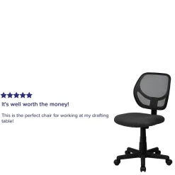 Best Neri Armless Ergonomic Mesh Swivel Low Back Task Office Chair, Gray (WA3074GY) Office Chairs