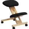 Posey Armless Ergonomic Fabric/Wood Mobile Kneeling Office Chair, Black (WLSB210) Office Chairs