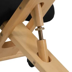 Posey Armless Ergonomic Fabric/Wood Mobile Kneeling Office Chair, Black (WLSB210) Office Chairs