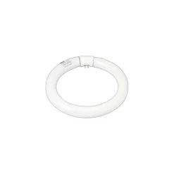 Light Bulbs<GE 22 Watt Cool White 8" Diameter T-9 Circline Fluorescent Tube (33774)