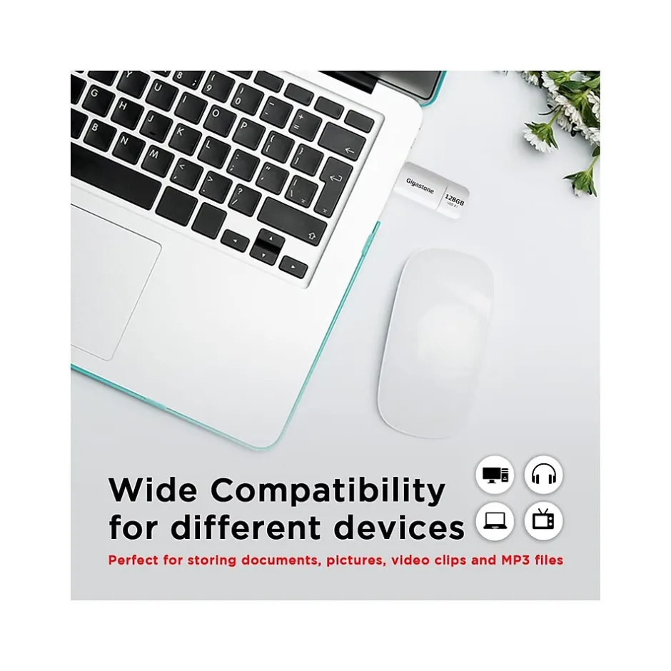 Gigastone 128GB USB 3.1 Type-A Flash Drive, White (GS-U3128GBWH-BC)* Usb Flash Drives