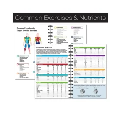 Global Printed Products Hardcover Fitness Journal, College-Ruled, Blue, 120 Pages (GPP-0068-S) Outlet