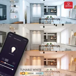 Smart Bulbs<Globe Electric A19-Shape E26-Base Wi-Fi Tunable 60-Watt-Equivalent Frosted Smart LED Light Bulb, Color Changing RGB (34212)