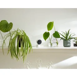 Security Cameras & Systems<Google Nest GA01998-US Wired Indoor Camera with Motion Detection and Night Vision, White