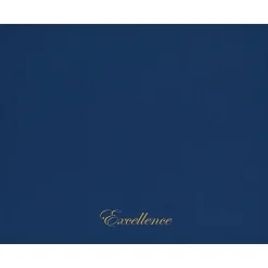 Best Excellence Certificate Holders, 9.34" x 12", Blue/Gold, 5/Pack (2017044) Awards & Certificates