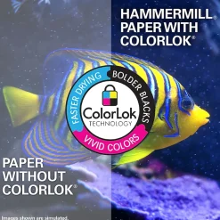 Outlet Copy Plus 8.5