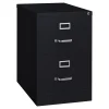 Hirish 25" Deep Vertical File Cabinet, Legal, 2-Drawer, Black File Cabinets