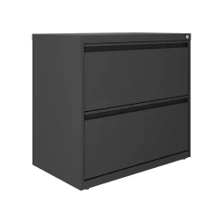 Clearance Lateral 101 2-Drawer Lateral File Cabinet, Letter/Legal Size, Lockable, 27.75"H x 30"W x 17.63"D, Charcoal (24084) File Cabinets