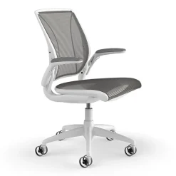 Discount Diffrient World Ergonomic Mesh Swivel Task Chair, White/Black (W11BN10N10SHNSC) Office Chairs