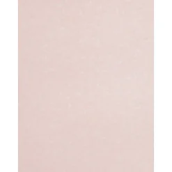 Outlet 30% Recycled Parchment Cardstock, 65 lb., 8.5" x 11", Salmon Pink, 50 Sheets/Pack (17137623) Card Stock