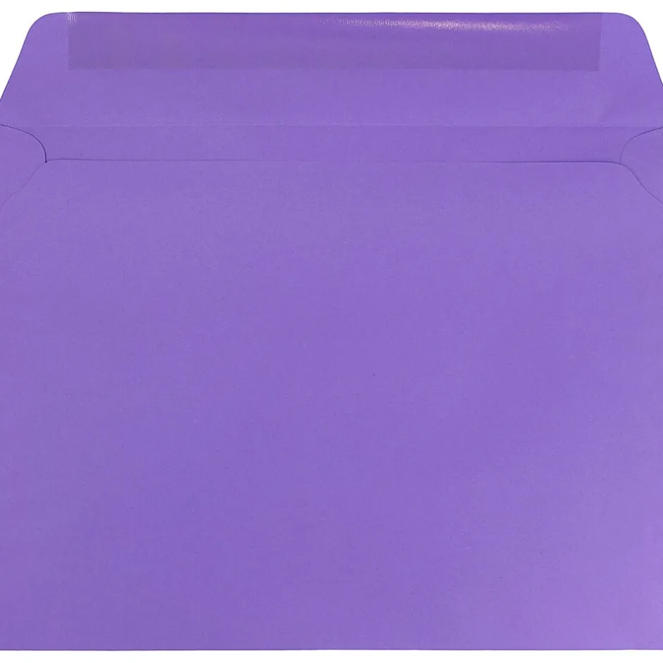 JAM Paper 9 x 12 Booklet Colored Envelopes, Violet Purple Recycled, 25/Pack (1531752)* Business
