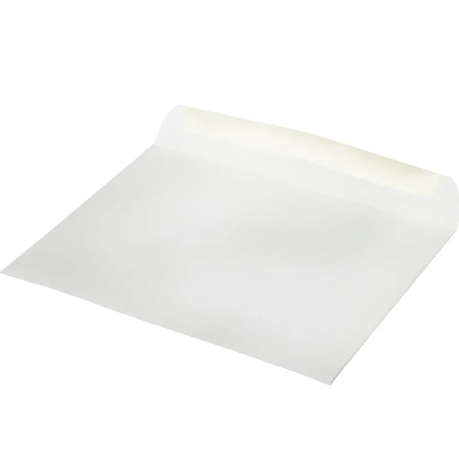 JAM Paper 9 x 12 Booklet Commercial Window Envelopes, White, 50/Pack (223932I)* Window