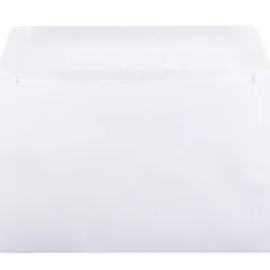 JAM Paper 6 x 9 Booklet Commercial Envelopes, White, Bulk 250/Box (4238h)* Business