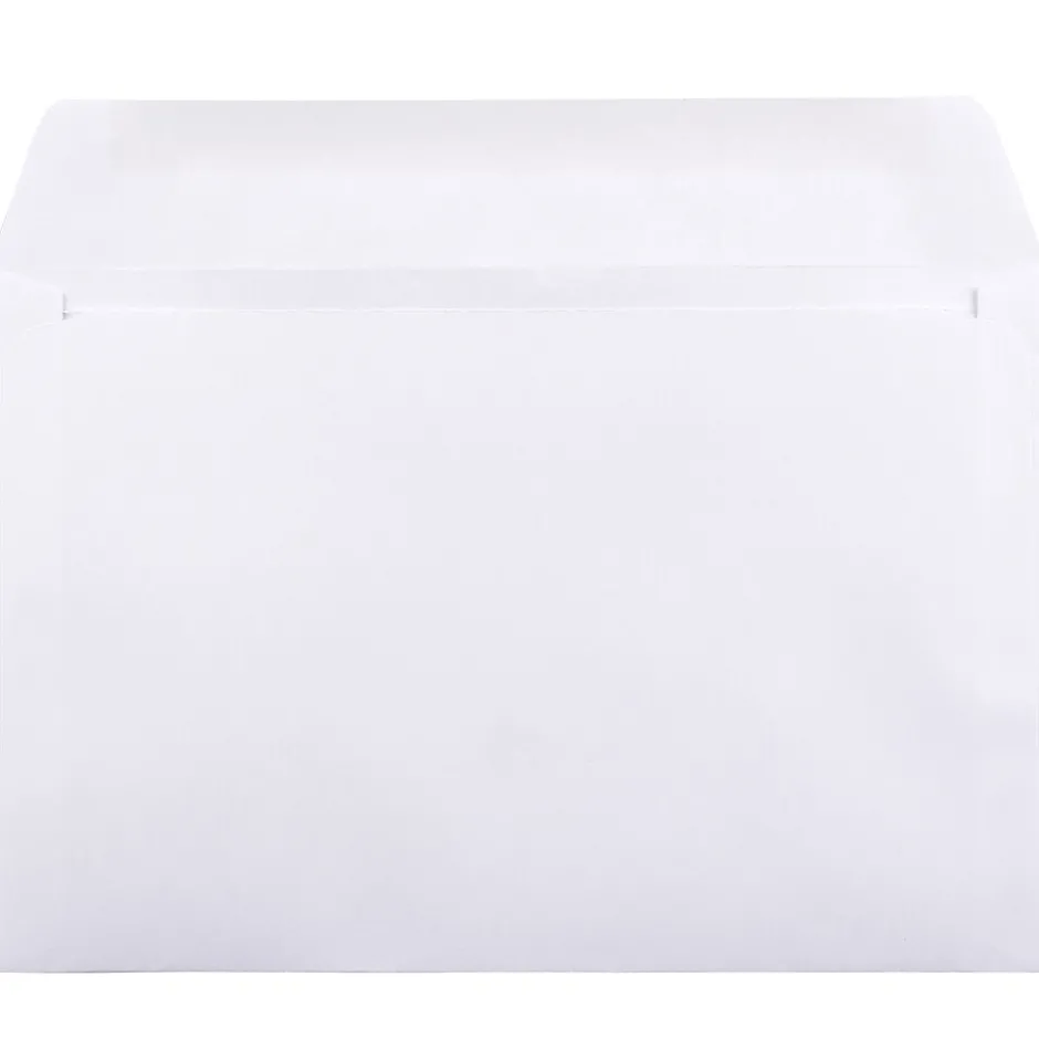 JAM Paper 6 x 9 Booklet Commercial Envelopes, White, Bulk 250/Box (4238h)* Business