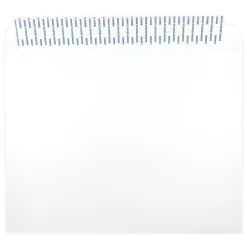 JAM Paper ® 10 x 13 Booklet Envelopes with Peel and Seal Closure, White, 100/Pack (356828787D)* Catalog