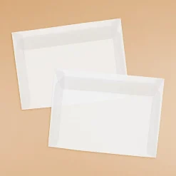 JAM Paper 8.75 x 11.5 Booklet Translucent Vellum Envelopes, Clear, 25/Pack (2851370)* Business