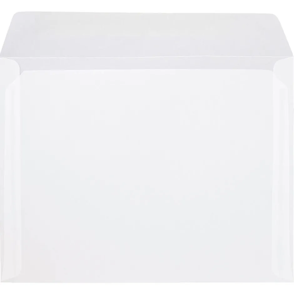 JAM Paper 10" x 13" Booklet Translucent Vellum Envelopes, Clear, 10/Pack (900840420D)* Business