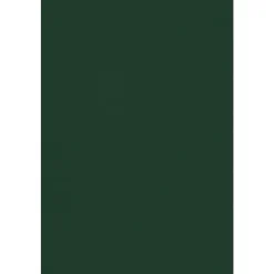 12" x 18" Cardstock, Green Linen, 50/pack (1218-C-GNLI-50) Card Stock